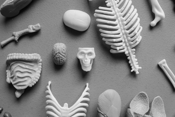 How Are Health Policies Impacting the NHS Workforce?